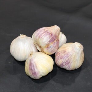 Lorz Garlic