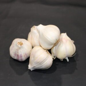 Polish Softneck Garlic
